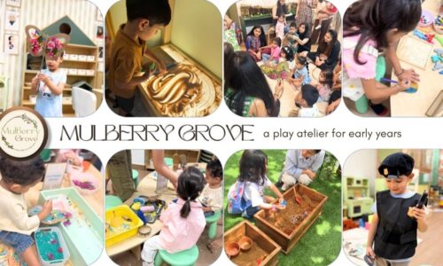 Mulberry Grove Opens Its Doors to a New Era of Meaningful Early Childhood Play