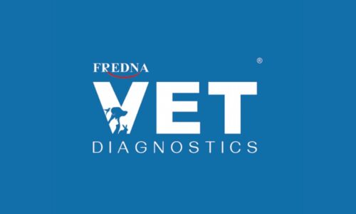 Fredna Vet Diagnostics Performs CT scan on Indian Spectacled Cobra — A Milestone in Exotic Animal Diagnostics