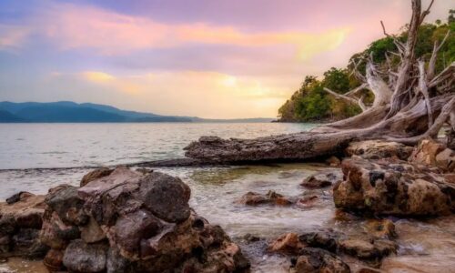 Andaman Packages from Vizag: Your Complete Island Getaway Guide