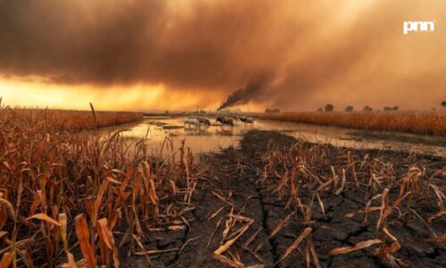 Climate Change and Its Growing Toll on Agriculture and Food Supply