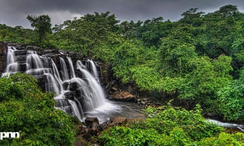 Your Office Desk Might Be The Real Monsoon Hotspot: Why Workplace Wellness Matters More Than Ever