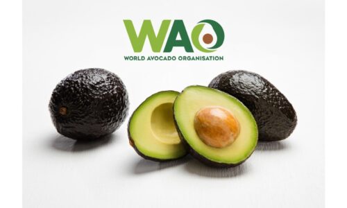 World Avocado Organisation Thanks Hon’ble Prime Minister of India for Spotlighting the Nutritional Benefits and Versatility of Avocados