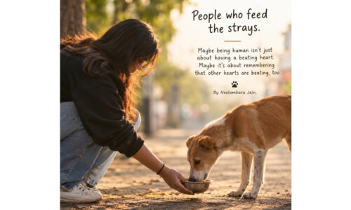 Beyond Humanity: How Local Animal Feeders Are Redefining Urban Compassion in a Tech-Driven Era